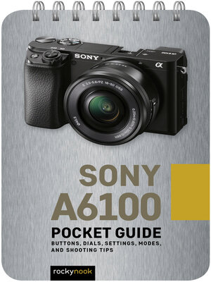 cover image of Sony a6100 Pocket Guide